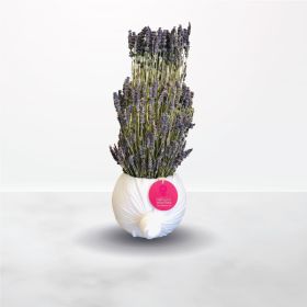 أرجوانية وجميلة، لافندر، السعودية، الرياض، توصيل، اون لاين، اونلاين، زهور، ورود، أزهار، ورد، فازة، الورد، الورود، الزهور، ذكرى-الزواج، الذكرى-السنوية-للزواج، يوم-الميلاد، عيد-الميلاد، خزامى، الخزامى، زواج، الزواج، زفاف، عرس، أطيب-الأمنيات، أطيب-الأماني، ش