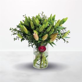 الزنابق الرشيقة، زنبق، زنابق، الزنبق، الزنابق، وردي، زهري، السعودية، الرياض، جدة، الدمام، توصيل، اون لاين، اونلاين، زهور، ورود، أزهار، ورد، فازة، الظهران، الخبر، الورد، الورود، الزهور، بيت-جديد، زوارة، زواره، خطوبة، الخطوبة، يوم-الميلاد، عيد-الميلاد، أطيب