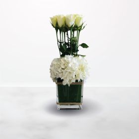 أبيض ورائع، علبة، صندوق، أبيض، الهايدرنجا، الجوري، جوري، هايدرنجا، أطيب الأمنيات، أمنيات بالشفاء العاجل، اشتياق، تخرج، تهنئة، ذكرى الزواج، شكر جزيل، مولود جديد، يوم الأب، يوم الأم، يوم المعلم، يوم الميلاد، السعودية، الرياض، ورد، ورود، أزهار، زهور